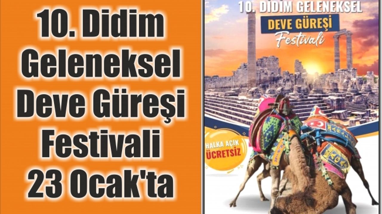 10. Didim Geleneksel Deve Güreşi Festivali 23 Ocak’ta