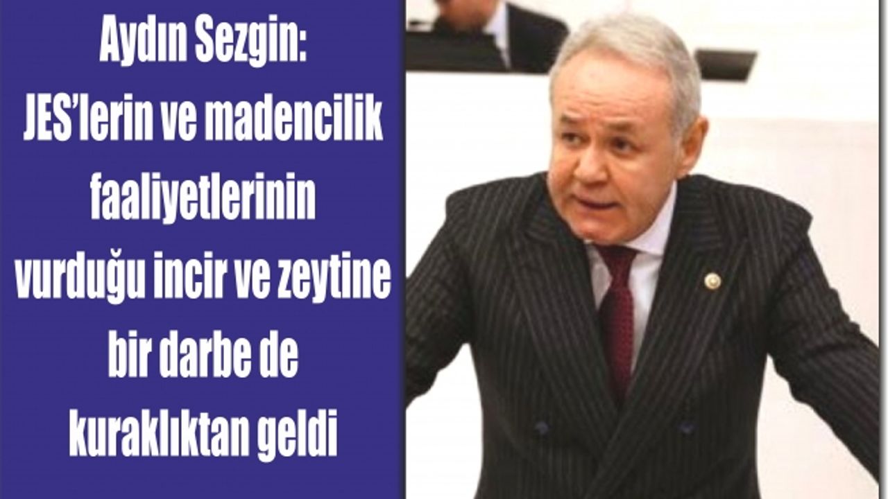 İYİ Partili Sezgin: İncir ve zeytin acilen kuraklık desteği kapsamına alınmalıdır