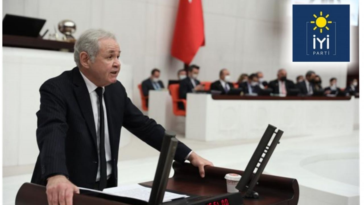 Aydın Sezgin: Zeytin üreticilerinin mağdur edilmesi kabul edilemez