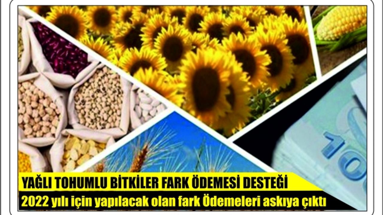 YAĞLI TOHUMLU BİTKİLER FARK ÖDEMESİ DESTEĞİ