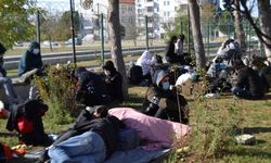 Didim’de 75 göçmen yakalandı 