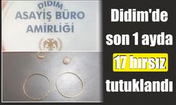 Didim’de son 1 ayda 17 hırsız tutuklandı