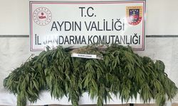 Aydın’da bir haftada 7 uyuşturucu taciri tutuklandı