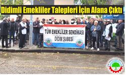 Emekliler talepleri için alana çıktı 