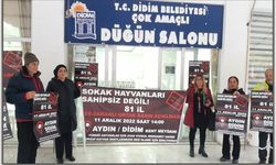 SOKAK HAYVANLARI SAHİPSİZ DEĞİL 