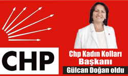 Chp Kadın Kolları Başkanı Gülcan Doğan oldu