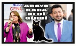 ARAYA KARA  KEDİ  GİRDİ