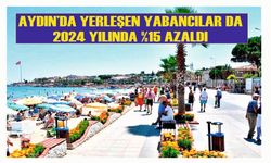 Aydın'da yabancıların sayısında yüzde 15 oranında azalma oldu