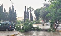 Didim’de Şid­det­li Fır­tı­na Ha­ya­tı Felç Etti: