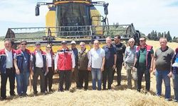 HU­BU­BAT­TA HASAT DÖNEMİ BAŞ­LA­DI