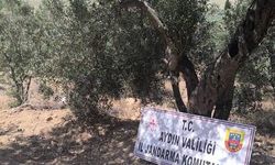 Didim'de Sit Ala­nın­da Kaçak Kazı Ope­ras­yo­nu: 6 Kişi Su­çüs­tü Ya­ka­lan­dı