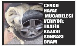 CENGO HAYAT MÜCADELESİ VERİYOR: TRAFİK KAZASI SONRASI DRAM