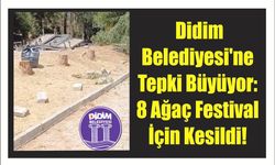 Didim Be­le­di­ye­si'ne Tepki Bü­yü­yor: 8 Ağaç Fes­ti­val İçin Ke­sil­di!
