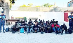 Didim'de Göç­men Ka­çak­çı­lı­ğı Ope­ras­yo­nu: 31 Dü­zen­siz Göç­men Ya­ka­lan­dı