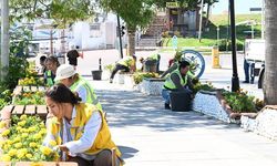 DİDİM’DE BÜ­YÜK­ŞEHİR’İN HİZMET ATAĞI SÜ­RÜ­YOR