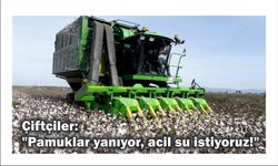 Çift­çi­ler: "Pa­muk­lar ya­nı­yor, acil su is­ti­yo­ruz!"