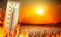 Aşırı Sı­cak­la­ra Karşı Uyarı: Saat 11.00 ile 16.00 Ara­sın­da Dı­şa­rı Çık­ma­yın!