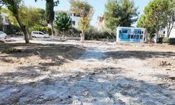 “Altınkum’da Parkta Ağaç Kesimi Tepki Çekti: