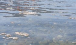 Akbük’te Bit­me­yen Çile: Deniz Kir­li­li­ği ve Yet­ki­li­le­rin Ses­siz­li­ği