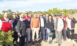 Sakız Ağacı Üre­ti­mi­nin Yay­gın­laş­tı­rıl­ma­sı Pro­je­si Kap­sa­mın­da Tek­nik Gezi Dü­zen­len­di