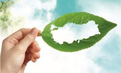 YEŞİL VATAN İÇİN DİDİM’DE EL ELE: FİDAN­LAR TOP­RAK­LA BU­LU­ŞU­YOR