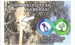 DİDİM BELEDİYESİ VE DİHAD ARA­SIN­DA “ÇEVRE” VE “GÜ­VENLİK KA­ME­RA­SI” KRİZİ