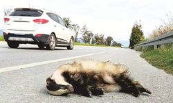 Söke–Didim Ka­ra­yo­lu­na Acil Önlem Çağ­rı­sı