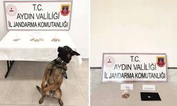 Aydın’da 10 İlçede “Torbacı” Operasyonu: 10 Tutuklama