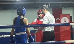 Di­dim­li Bok­sör­ler­den Aydın’da Rekor Ba­şa­rı: 11 Ma­dal­ya