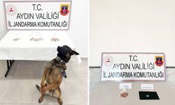 Aydın’da 10 İlçede Tor­ba­cı Ope­ras­yo­nu : 10 Tu­tuk­la­ma