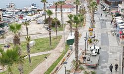 Didim Tu­rizm Se­zo­nu­na Ha­zır­la­nı­yor: Al­tın­kum Ren­gâ­renk Çi­çek­ler­le Do­na­tıl­dı