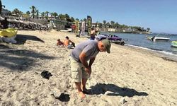 DİDİM’DEN İKİNCİ CARETTA CARETTA YUVASI MÜJDESİ