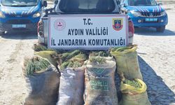 Didim’de Doğal Koruma Alanlarında Kaçak Bitki Toplayan 8 Kişiye Jandarma Operasyonu