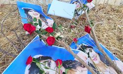 Yağ­mur Tay­han kat­le­di­li­şi­nin 5.yı­lın­da unu­tul­ma­dı.