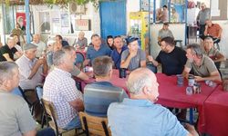 AKYENİKÖY’DE ZEYTİN HASADINA 10 GÜNLÜK ARA