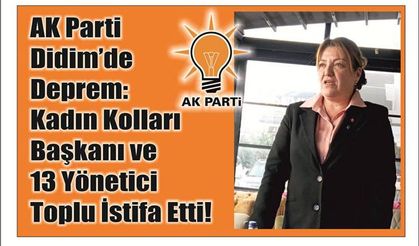 AK Parti Didim’de Dep­rem: Kadın Kol­la­rı Baş­ka­nı ve 13 Yö­ne­ti­ci Toplu İstifa Etti!