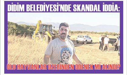DİDİM BELEDİYESİ’NDE SKAN­DAL İDDİA: ÖLÜ HAY­VAN­LAR ÜZERİNDEN ÖDE­NEK Mİ ALIN­DI?