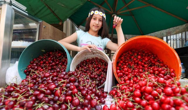 Buca'da Kiraz Festivali için hazırlıklar tamam