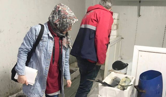 BALIKÇILAR DENETLENDİ
