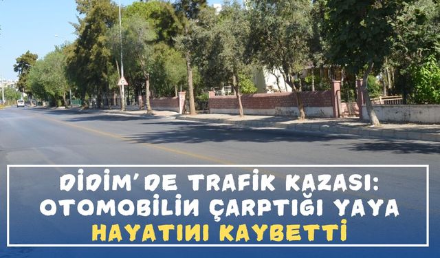 Didim’de trafik kazası: Otomobilin çarptığı yaya hayatını kaybetti