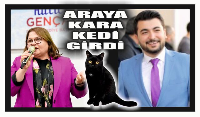 ARAYA KARA  KEDİ  GİRDİ