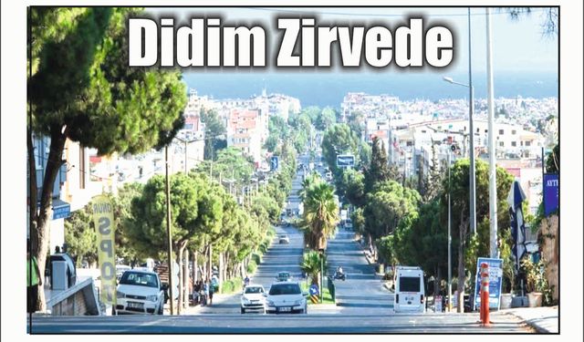 Didim Zirvede