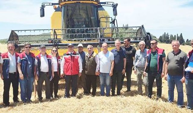 HU­BU­BAT­TA HASAT DÖNEMİ BAŞ­LA­DI