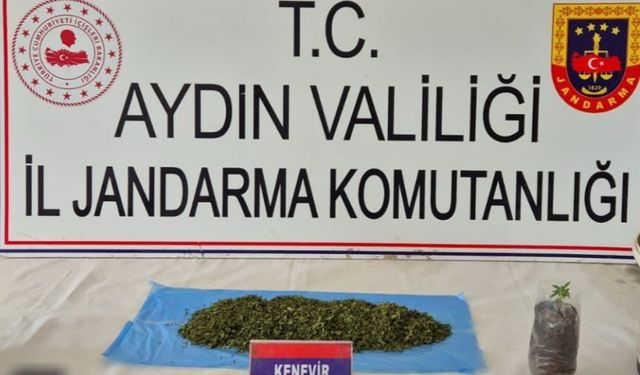 Aydın’da  Uyuş­tu­ru­cu  Ope­ras­yo­nu:  36 Şüp­he­li  Gö­zal­tı­na  Alın­dı