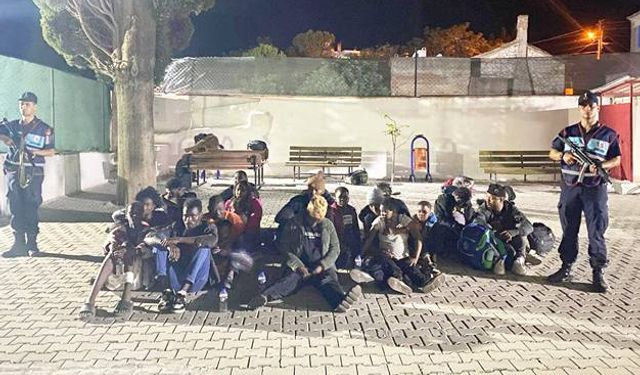 Didim’de Zeytinlikte 32 Düzensiz Göçmen Yakalandı