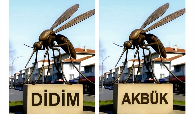Didim’i Sinek Bastı!