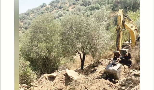 Kaçak Ka­zı­ya Su­çüs­tü