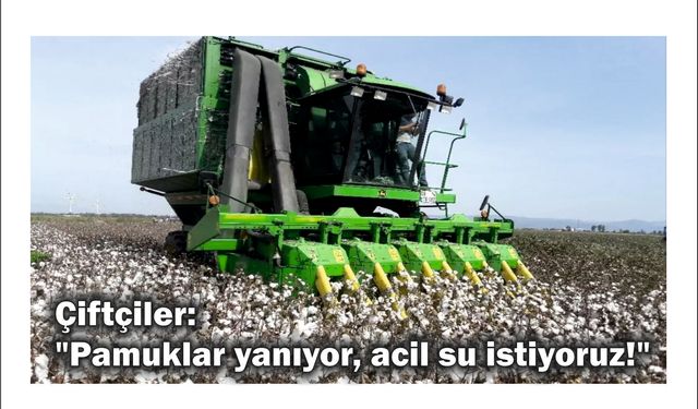 Çift­çi­ler: "Pa­muk­lar ya­nı­yor, acil su is­ti­yo­ruz!"