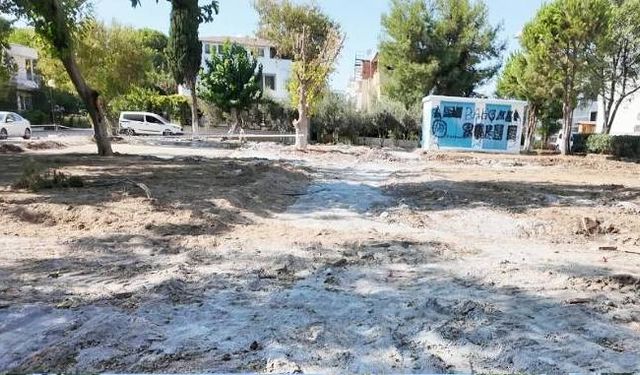 “Altınkum’da Parkta Ağaç Kesimi Tepki Çekti: