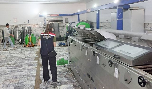 Didim’de Zey­tin­ya­ğı Üre­tim Te­sis­le­ri­ne De­ne­tim